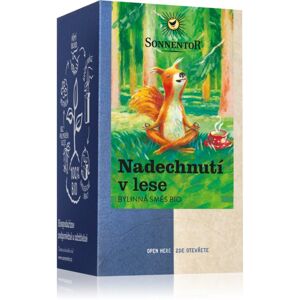 SONNENTOR Nadechnutí v lese BIO bylinný čaj dvoukomorový sáček 18x1,2 g