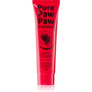 Pure Paw Paw Ointment balzám na rty a suchá místa 25 g