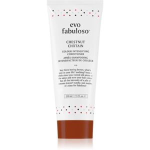EVO Fabuloso Colour Boosting Treatment maska na vlasy pro zvýraznění barvy vlasů odstín Chestnut 220 ml