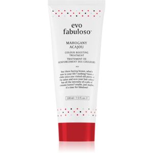 EVO Fabuloso Colour Boosting Treatment maska na vlasy pro zvýraznění barvy vlasů odstín Mahogany 220 ml