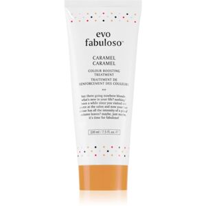 EVO Fabuloso Colour Boosting Treatment maska na vlasy pro zvýraznění barvy vlasů odstín Caramel 220 ml