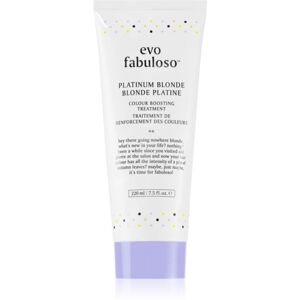 EVO Fabuloso Colour Boosting Treatment maska na vlasy pro zvýraznění barvy vlasů odstín Platinum Blonde 220 ml