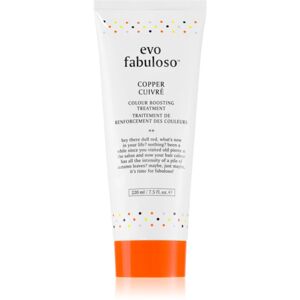 EVO Fabuloso Colour Boosting Treatment maska na vlasy pro zvýraznění barvy vlasů odstín Copper 220 ml