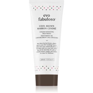 EVO Fabuloso Colour Boosting Treatment maska na vlasy pro zvýraznění barvy vlasů odstín Cool Brown 220 ml