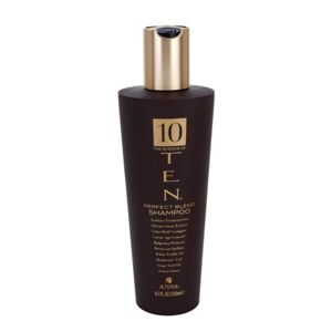 Alterna Ten vyživující šampon pro obnovu a posílení vlasů bez obsahu sulfátů 250 ml