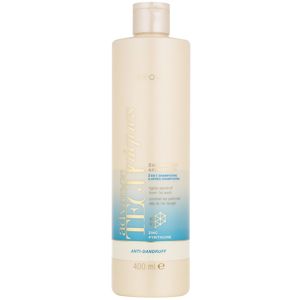 Avon Advance Techniques Anti-Dandruff šampon a kondicionér 2 v 1 proti lupům 400 ml