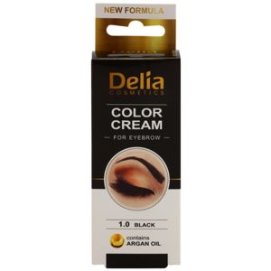 Delia Cosmetics Argan Oil barva na obočí odstín 1.0 Black 15 ml