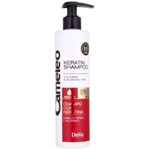 Delia Cosmetics Cameleo BB keratinový šampon pro barvené a melírované vlasy 250 ml