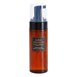 John Masters Organics Bearberry Skin čisticí pěna vyrovnávající tvorbu kožního mazu 177 ml