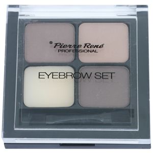 Pierre René Eyes Eyebrow paleta pro líčení obočí odstín 01 Brown 4,5 g