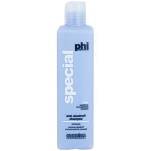 Subrina Professional PHI Special šampon proti lupům 250 ml