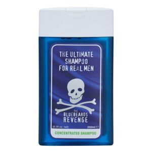The Bluebeards Revenge Hair & Body šampon pro muže 250 ml