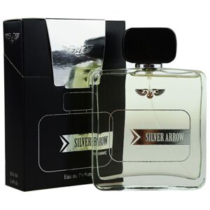 Zync Silver Arrow parfémovaná voda pro muže 100 ml